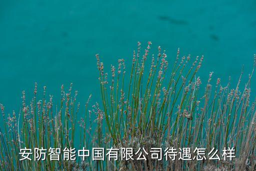 安防智能中國有限公司待遇怎么樣