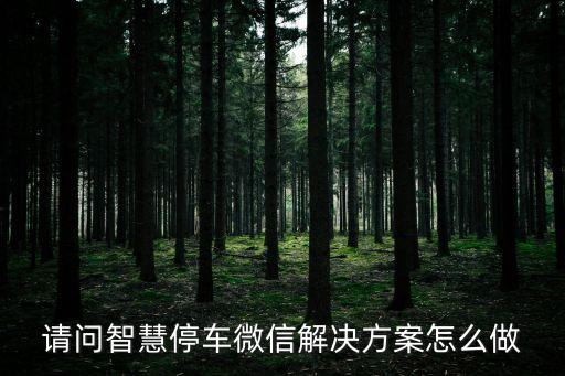 請問智慧停車微信解決方案怎么做