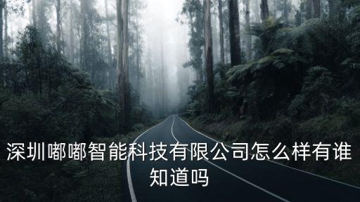 深圳嘟嘟智能科技有限公司怎么樣有誰知道嗎