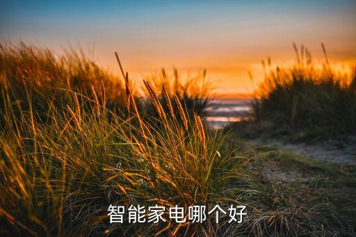 智能家電哪個好