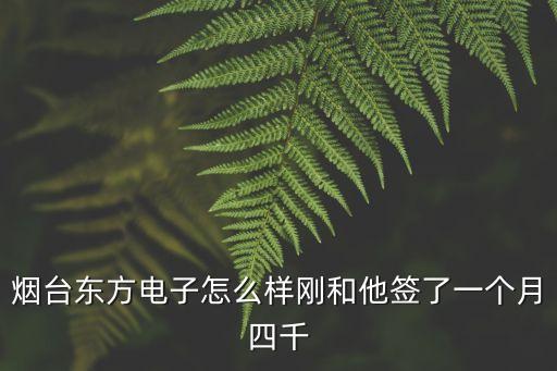 煙臺(tái)東方電子怎么樣剛和他簽了一個(gè)月四千