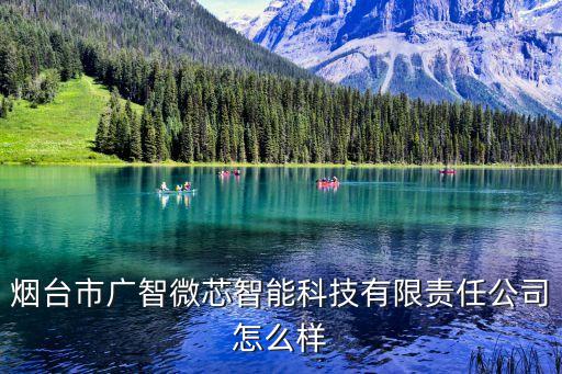 廣智智能科技怎么樣，煙臺(tái)市廣智微芯智能科技有限責(zé)任公司怎么樣