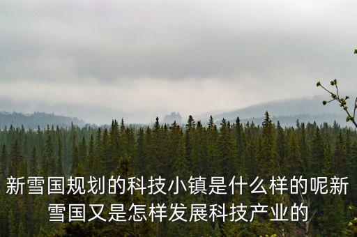 新雪國規(guī)劃的科技小鎮(zhèn)是什么樣的呢新雪國又是怎樣發(fā)展科技產(chǎn)業(yè)的