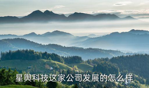 星輿科技這家公司發(fā)展的怎么樣