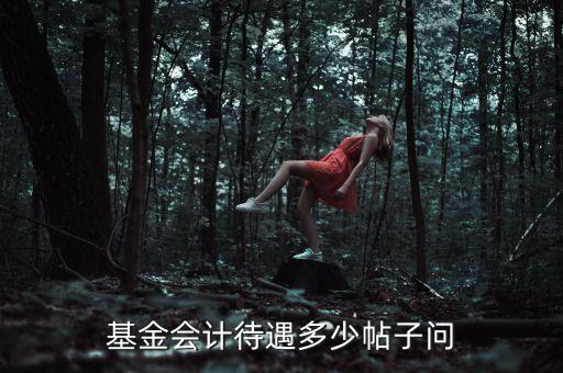 基金會(huì)計(jì)待遇多少帖子問(wèn)