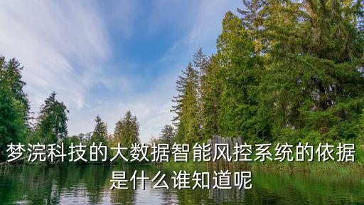 夢浣科技的大數(shù)據(jù)智能風控系統(tǒng)的依據(jù)是什么誰知道呢