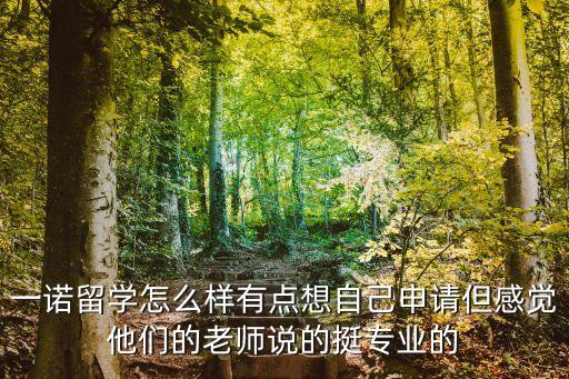 一諾留學怎么樣有點想自己申請但感覺他們的老師說的挺專業(yè)的