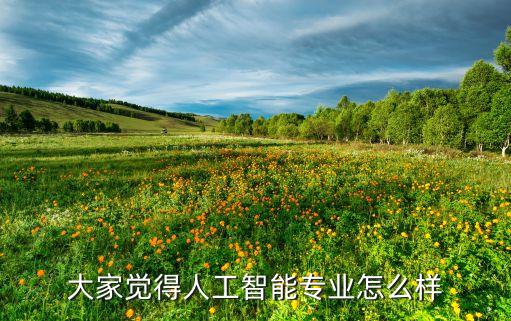 大家覺得人工智能專業(yè)怎么樣
