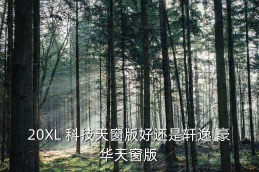 20XL 科技天窗版好還是軒逸 豪華天窗版