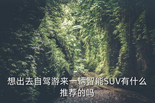 想出去自駕游來一輛智能SUV有什么推薦的嗎