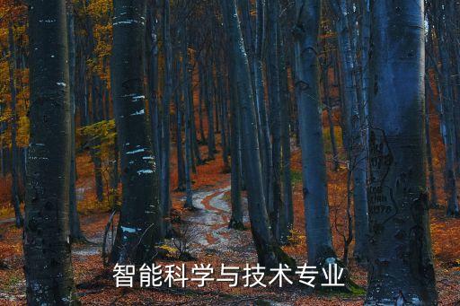 智能科學(xué)與技術(shù)專業(yè)