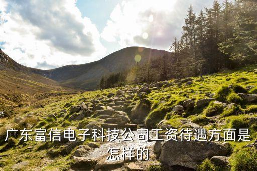 昆山六淳智能科技工資多少，廣東富信電子科技公司工資待遇方面是怎樣的