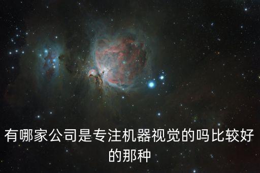 有哪家公司是專注機(jī)器視覺的嗎比較好的那種