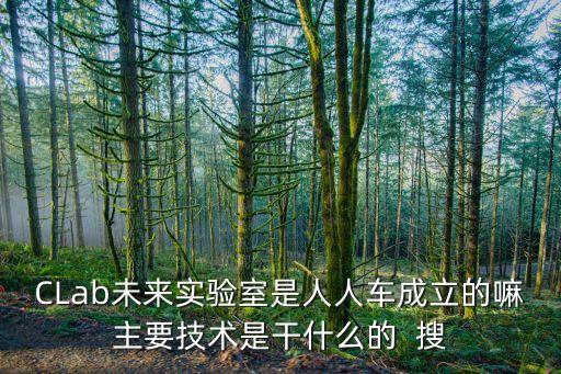 CLab未來(lái)實(shí)驗(yàn)室是人人車成立的嘛主要技術(shù)是干什么的  搜