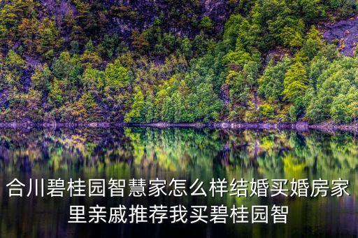 合川碧桂園智慧家怎么樣結(jié)婚買婚房家里親戚推薦我買碧桂園智