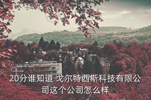 20分誰知道 戈爾特西斯科技有限公司這個公司怎么樣