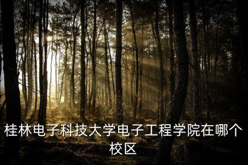 桂林電子科技大學(xué)電子工程學(xué)院在哪個(gè)校區(qū)