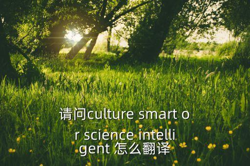 請(qǐng)問(wèn)culture smart or science intelligent 怎么翻譯