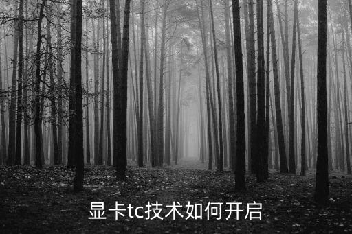智能科技護(hù)腰帶怎么弄，顯卡tc技術(shù)如何開啟