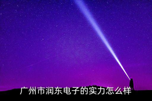 廣州市潤(rùn)東電子的實(shí)力怎么樣