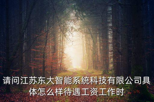 請問江蘇東大智能系統(tǒng)科技有限公司具體怎么樣待遇工資工作時