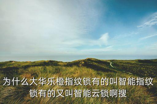 智能云鎖科技是什么品牌，樂橙K5智能云鎖為什么叫云鎖啊有什么特別之處嗎