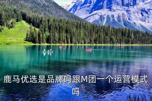 鹿馬智能科技怎么樣，鹿馬優(yōu)選是品牌嗎跟M團(tuán)一個運營模式嗎