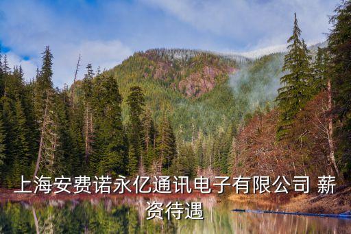 上海安費(fèi)諾永億通訊電子有限公司 薪資待遇