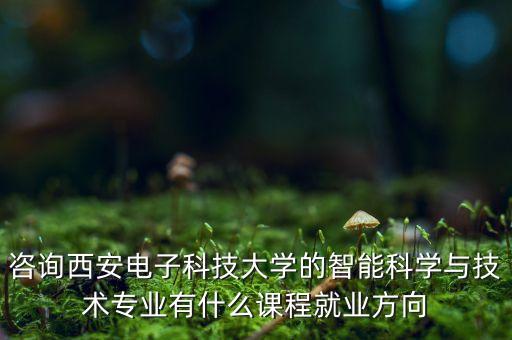 咨詢西安電子科技大學(xué)的智能科學(xué)與技術(shù)專業(yè)有什么課程就業(yè)方向