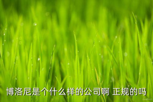 博洛尼是個(gè)什么樣的公司啊 正規(guī)的嗎