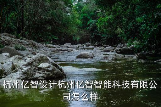 杭州億智設(shè)計杭州億智智能科技有限公司怎么樣