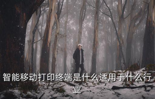 科技智能終端是干什么的，智能移動(dòng)打印終端是什么適用于什么行業(yè)