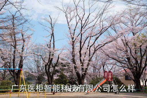 廣東醫(yī)柜智能科技有限公司怎么樣