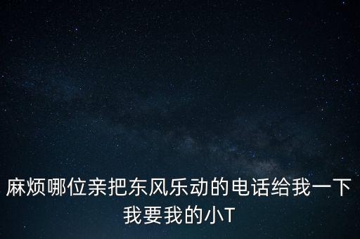 麻煩哪位親把東風(fēng)樂(lè)動(dòng)的電話給我一下我要我的小T