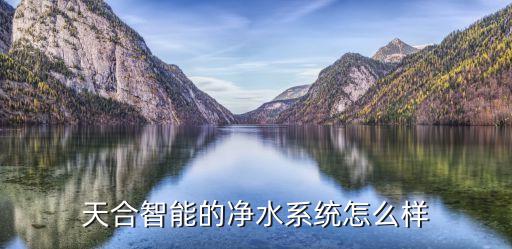 神州天合智能科技怎么樣，天合智能主要產(chǎn)品有哪些服務(wù)怎么樣