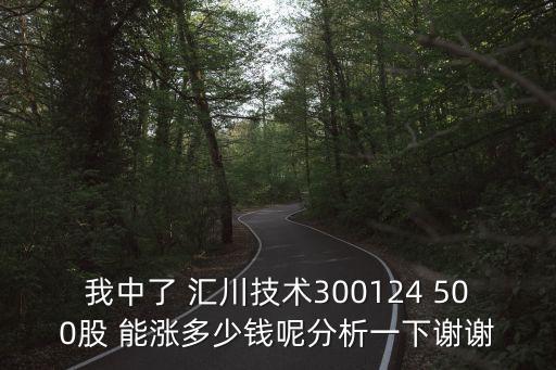 我中了 匯川技術(shù)300124 500股 能漲多少錢(qián)呢分析一下謝謝