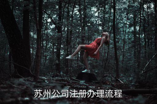 如何注冊智能科技蘇州公司，蘇州公司注冊怎么辦理