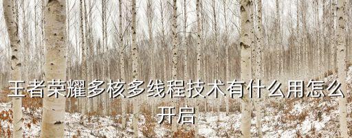 王者榮耀多核多線程技術(shù)有什么用怎么開啟