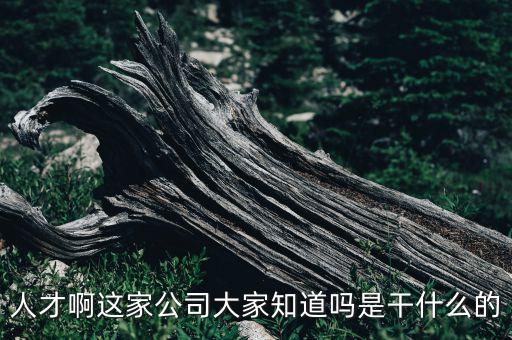 人才啊這家公司大家知道嗎是干什么的