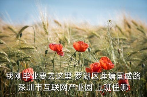 我剛畢業(yè)要去這里 羅湖區(qū)蓮塘國(guó)威路深圳市互聯(lián)網(wǎng)產(chǎn)業(yè)園 上班住哪