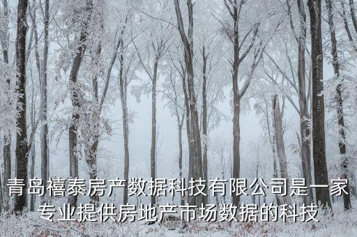 青島禧泰房產(chǎn)數(shù)據(jù)科技有限公司是一家專(zhuān)業(yè)提供房地產(chǎn)市場(chǎng)數(shù)據(jù)的科技