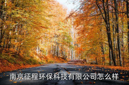 南京征程環(huán)?？萍加邢薰驹趺礃? class=
