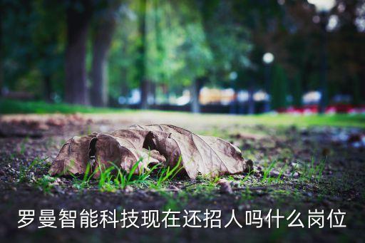 深圳羅曼智能科技怎么樣，深圳羅曼斯科技怎么樣