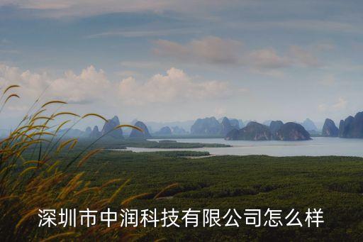 深圳市中潤科技有限公司怎么樣