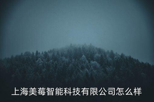 上海美莓智能科技有限公司怎么樣