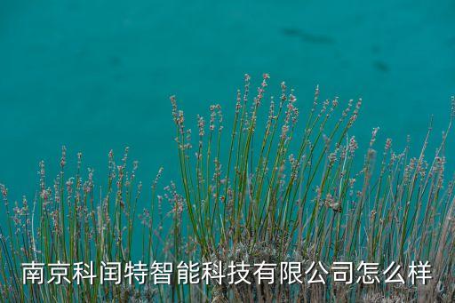 科驊智能科技怎么樣，南京科閏特智能科技有限公司怎么樣