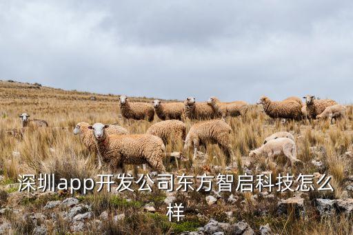 東方智能科技插畫怎么樣，煙臺(tái)東方電子怎么樣剛和他簽了一個(gè)月四千