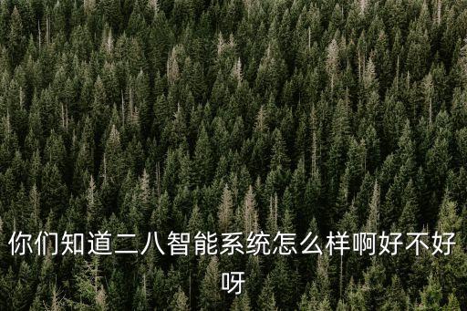 你們知道二八智能系統(tǒng)怎么樣啊好不好呀
