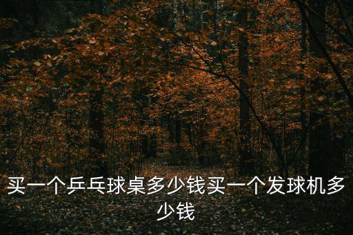 買一個乒乓球桌多少錢買一個發(fā)球機(jī)多少錢