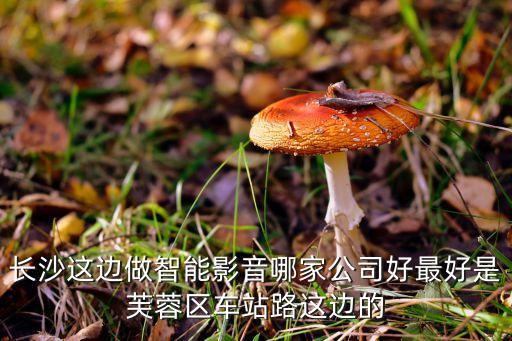 長沙這邊做智能影音哪家公司好最好是芙蓉區(qū)車站路這邊的